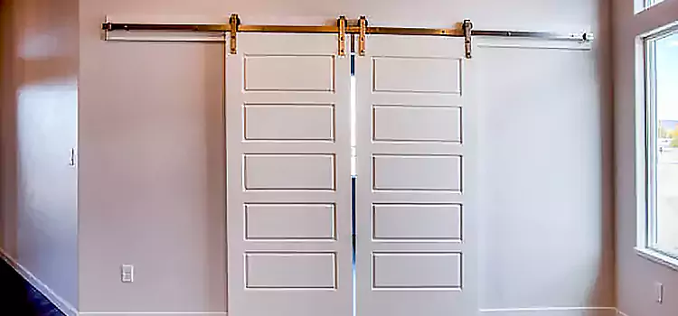 Glass Barn Door with Installation Hardware Kit Dublin