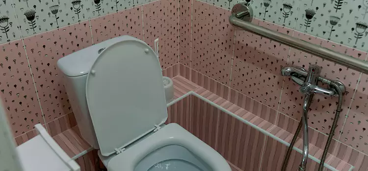 Meeting Diverse Needs With Accessible Restroom Solutions in Dublin, CA
